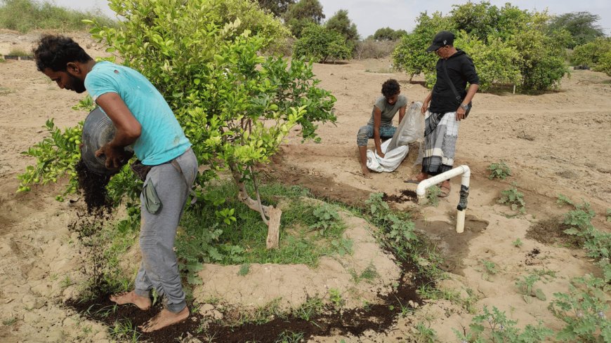 ميليشيا الحوثي توقف إجراءاتها بشأن "المبيدات المسرطنة