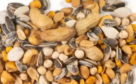 فوائد جمة للمكسرات على صحتك.. تكشفها دراسة حديثة