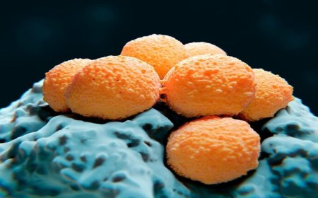 اليابان.. حالات الإصابة بالبكتيريا “آكلة اللحوم” تسجل ارقاماً مضاعفة وقياسية.