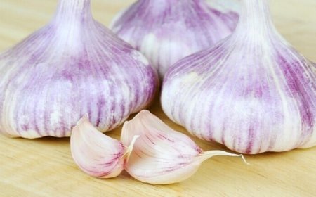 منتج طبيعي يخفض مستوى السكر في الدم.. تعرف على خصائصه