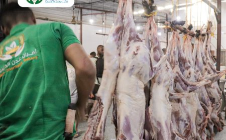 هيئة الخليج وعدن (أفران عدن الخيرية) تدشّن توزيع لحوم الأضاحي في عدن ولحج وأبين