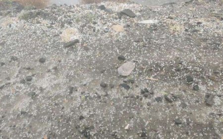 ثلج وأمطار غزيرة اليوم بيافع 