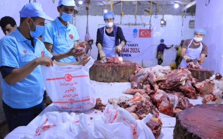 أكثر من 1200 أسرة مستفيدة من مشروع أضاحي "وقف الديانة التركي" بمأرب.