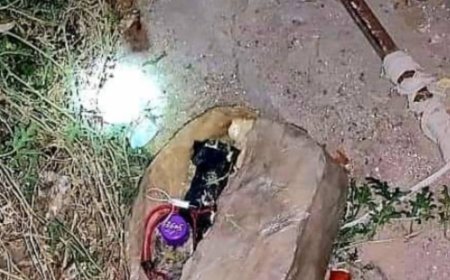 شبوة.. الفرق الهندسية تتمكن من تفكيك عبوة ناسفة بمديرية ميفعة