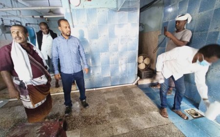 الموارد المائية ومكتب الأشغال العامة ينفذان نزول ميداني إلى معامل تحلية المياه بزنجبار