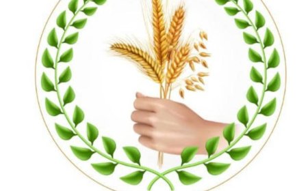 المجلس التنسيقي الاعلى لمنظمات المجتمع المدني بأبين يطلق مناشدة لمواجهة خطر انتشار وباء الكوليرا