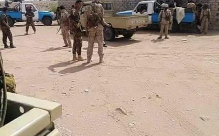 حملة أمنية توقف إطلاق النار بين قبيلتي آل هقش وآل منصور بمديرية الصعيد