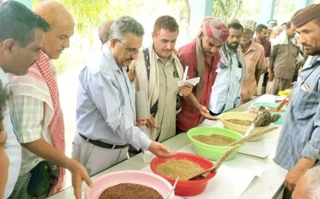 لحج: وكيل وزارة الزراعة والأسماك يدشن المعرض الأول للحبوب المنزرعة محليا في طور الباحة
