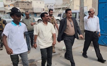 مدير  عام المنصورة يتسلم مشروع "الرصف الحجري في بلوك ( 31 )" من الجهة المنفذة*