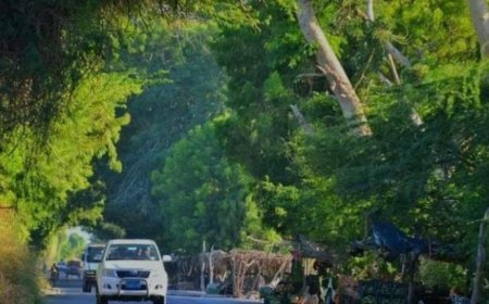 من ينقذ المعسرين في سجن زنجبار ..؟!