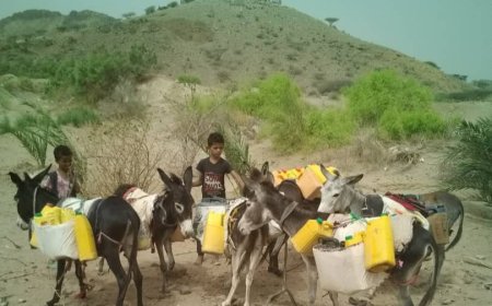 أهالي منطقة المجباء في لحج يوجهون نداء استغاثة للسلطات والقائد العام لدرع الوطن والمنظمات الإنسانية لإنقاذهم من أزمة المياه الخانقة