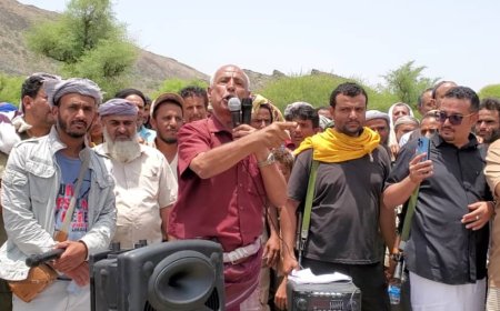 الضالع تحتضن يافع في صلحًا قبليًا يجسّد روح المحبة والأخوة و التسامح الجنوبي بتحكيم رفيع المستوى