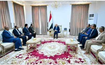 رئيس مجلس القيادة يلتقي وفد الامم المتحدة لخدمات المشاريع