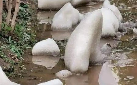 ثلوج بهذا الحجم  تسقط في مناطق صنعاء.. تشاهد لأول مرة (صور ) 