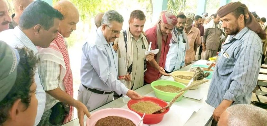 لحج: وكيل وزارة الزراعة والأسماك يدشن المعرض الأول للحبوب المنزرعة محليا في طور الباحة