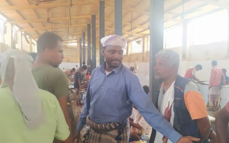 متعهد سوق أسماك زنجبار ينفذ حملة لادخال البائعين المخالفين