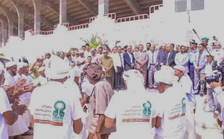 أعلن خلالة عن زراعة 1000 نخله ضمن مشروع تحسين مدينة سيئون.. وكيل حضرموت يدشن معرض النخيل والتمور