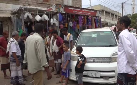 مكتب النقل بمحافظة أبين ينفذ حملة ميدانية بنقل فرزة شقرة إلى موقعها السابق وسط مدينة زنجبار