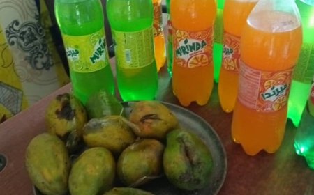 مكتب الأشغال زنجبار يقوم بحملة تفتيش ميداني لعدد من البقالات والمشارب بسوق المدينة