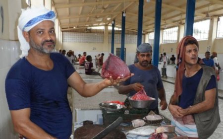 اسعار جنونية للاسماك والدجاج بسوق زنجبار اليوم الجمعة