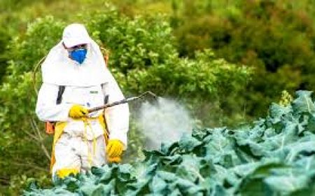 مساوئ المبيدات الكيميائية على البيئة