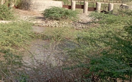 بعد ان حاصرتهم السيول :   أهالي الديو وبئر الشيخ بمديرية خنفر يناشدون السلطات المحلية إنقاذهم!