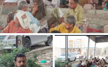 لليوم الثالث على التوالي.. لجنة متابعة قضية المختطف "عشال" تواصل الاعتصام السلمي في المخيم المفتوح بزنجبار