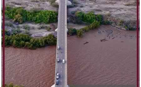 بين الحلم والواقع.. مشروع زراعي كبير في طريق التنفيذ