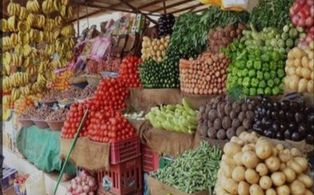 أسعار الخضار والفواكه بالعاصمة عدن الثلاثاء 20 أغسطس 2024