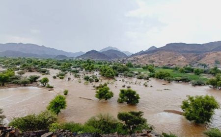 امطار غزيرة هطلت على مديرية جيشان نتجت عنها سيول جارفة