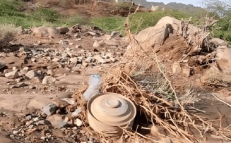 لغم حوثي ينهي حياة شاب بهذه المحافظة