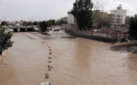 الكشف عن وفاة "84" شخصاً  من ضحايا سيول الحديدة