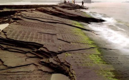 الصين ومصر تسعيان إلى ترشيح مشترك من أجل إدراج موقع بايخهليانغ مع مقاييس النيل في قائمة التراث العالمي لليونسكو