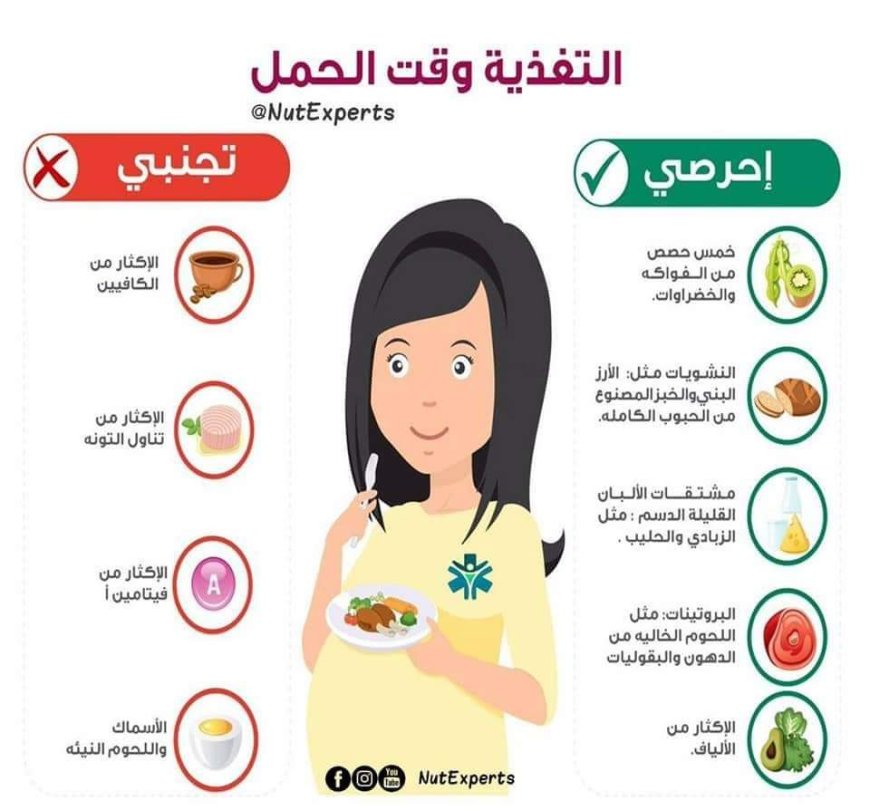 ثقافة صحية.. الغذاء المناسب اثناء فترة الحمل 