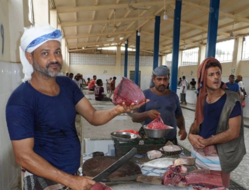 اسعار جنونية للاسماك والدجاج بسوق زنجبار اليوم الجمعة