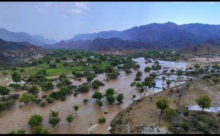 ما دور الجهات المختصة والمنظمات من اضرار السيول التي لحقت بوادي وصر جيشان ؟