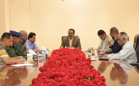 اللجنة المكلفة للتحقيق في حادث انفجار محطة الغاز بمديرية المنصورة تواصل سير نتائج أعمالها