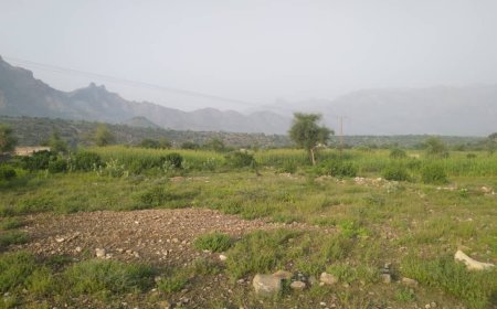 غرق فتاة في منطقة حجر مديرية الضالع