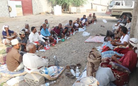 لمتابعة الجهات ذات العلاقة.. مزارعو أبين يشكلون لجنة لحصر أضرار السيول في الأراضي الزراعية