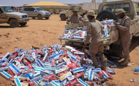 درع الوطن تتلف 22,000 باكت من الممنوعات  في منفذ الوديعة