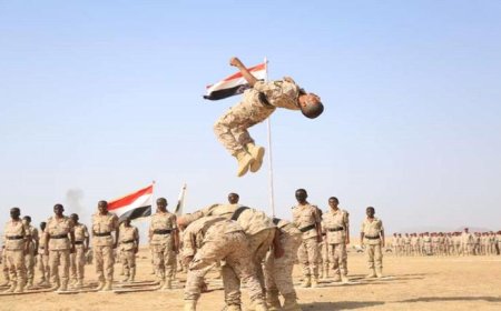 الحكومة الشرعية : اصبحت قواتنا اكثر جاهزية لحسم المعركة مع الحوثيين 