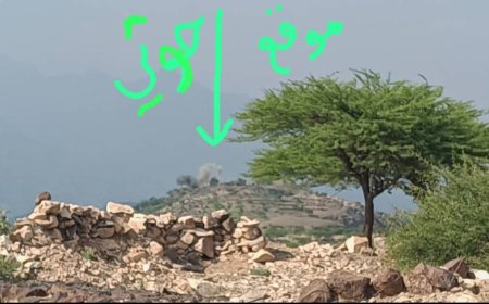 من خطوط النار.. قوات الحزام الأمني بالمسيمير تقهر الغزاة وتصنع الانتصارات الجنوبية في جبهات الحواشب الشمالية والغربية