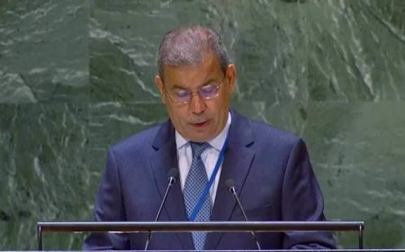 الحكومة تؤكد إلتزامها بدعم كافة جهود إنهاء الصراع وتحمل المجتمع الدولي مسؤولية الضغط على الميليشيات الحوثية