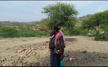 لحج.. تجدد الاشتباكات بين القوات الجنوبية ومليشيا الحوثي في جبهة عهامه بالمسيمير الحواشب