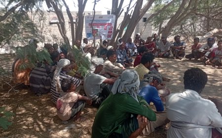 مديد مكتب الزراعة بأحور يختتم حفل مدارس المزارعين الحقلية لمحاصيل الخضار (الطماطم)