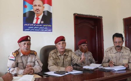 الضالع.. استعداد قتالي عالي وتحركات مريبة لمليشيا الحوثي