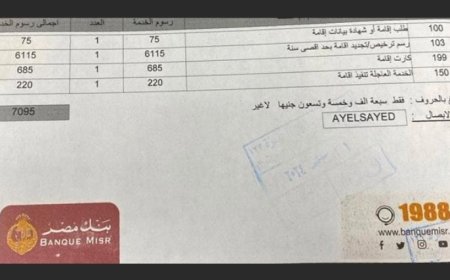 مصر تتخذ اجراءات جديدة بشأن رسوم الاقامة لليمنيين
