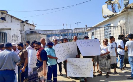 سكان حي الوحدة الصناعية بمديرية المنصورة يناشدون المدير العام بسرعة التدخل لحل مشكلة الكهرباء المنقطعة عن الحي لأكثر من يومين 