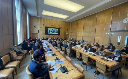 جنيف.. اللجنة الوطنية للتحقيق تلتقي سفراء المجموعة العربية بمجلس حقوق الإنسان