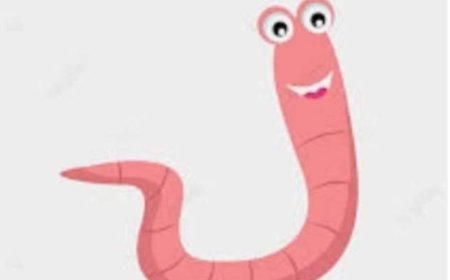 ( ثقافة صحية) ماهي #الديدان #الشائعة ؟